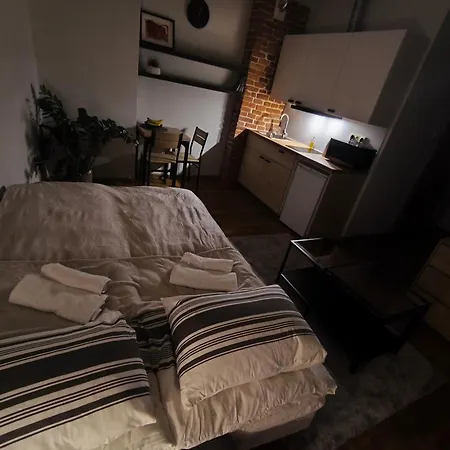 Apartament Old Town Studija Kurpiu Svetingumas And Free Parking Kowno